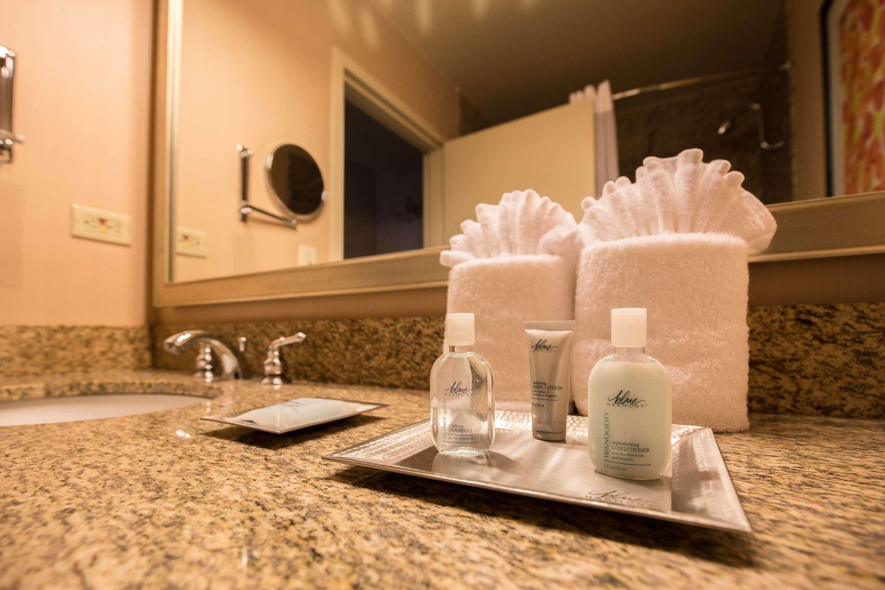 Hotel Wyndham Chicago O'Hare Rosemont Zewnętrze zdjęcie