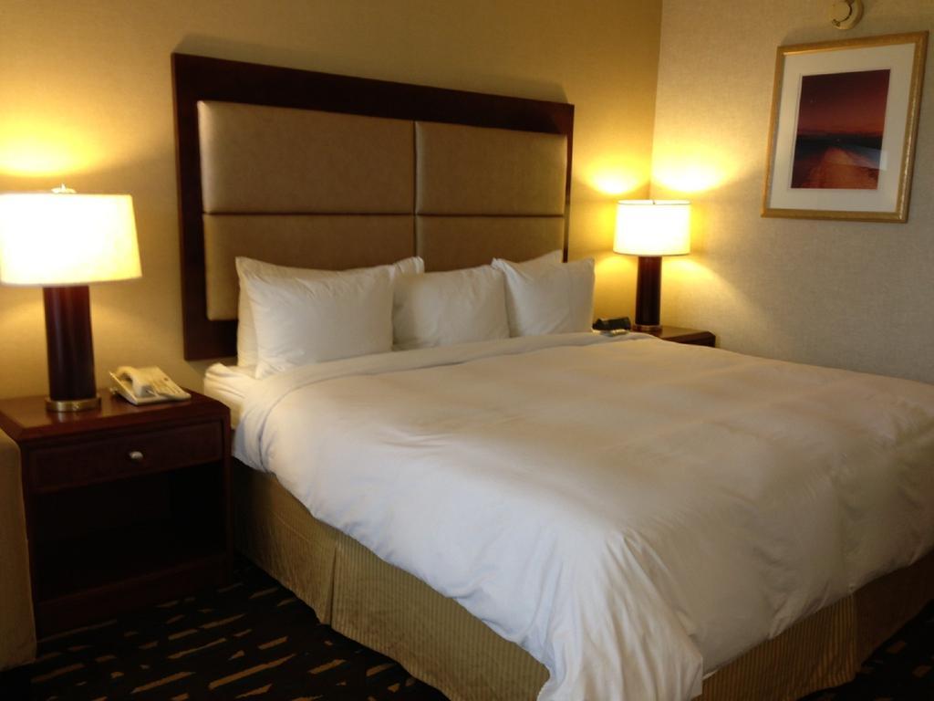 Hotel Wyndham Chicago O'Hare Rosemont Zewnętrze zdjęcie